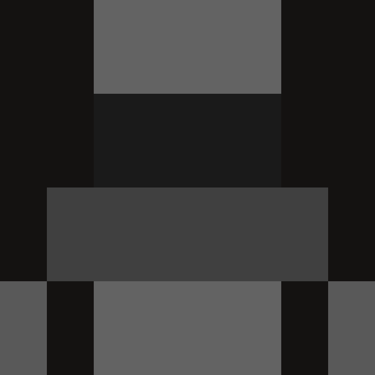 BukkitAPI's skin