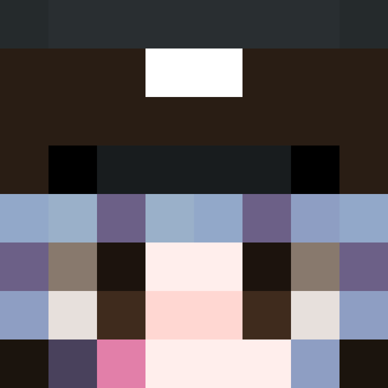 8aca680b22461340's skin