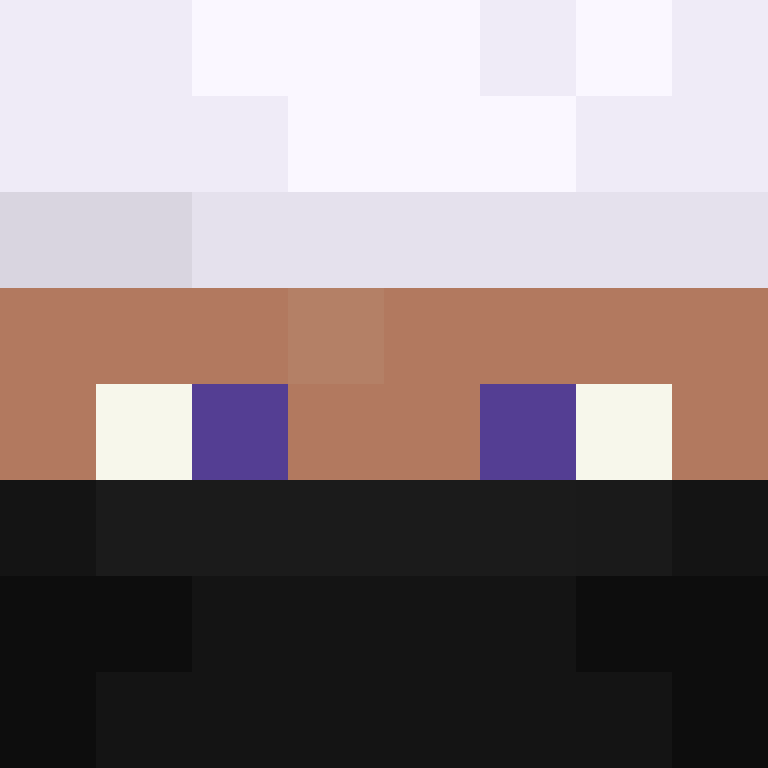 xX_No_Income_Xx's skin