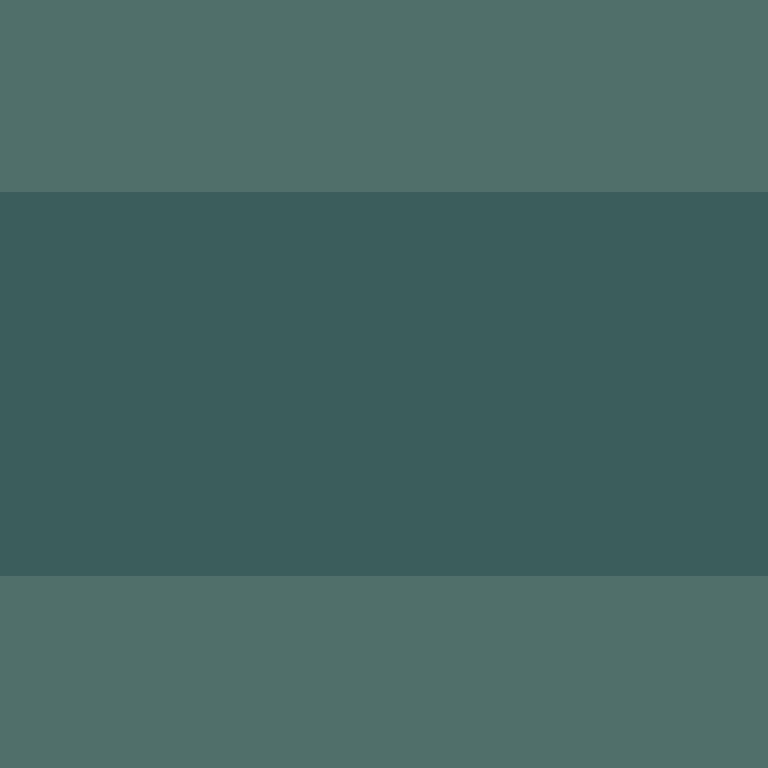 _Flanty_'s skin