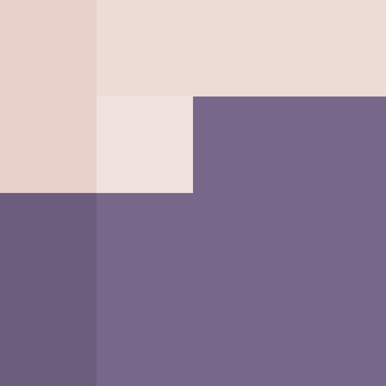 CeilingBird's skin