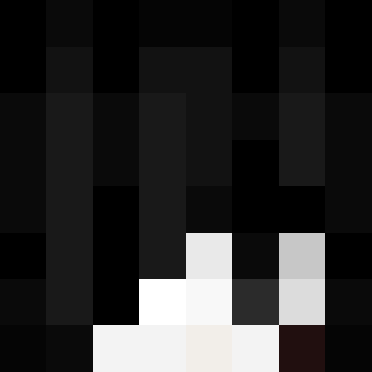 Cartizoll's skin
