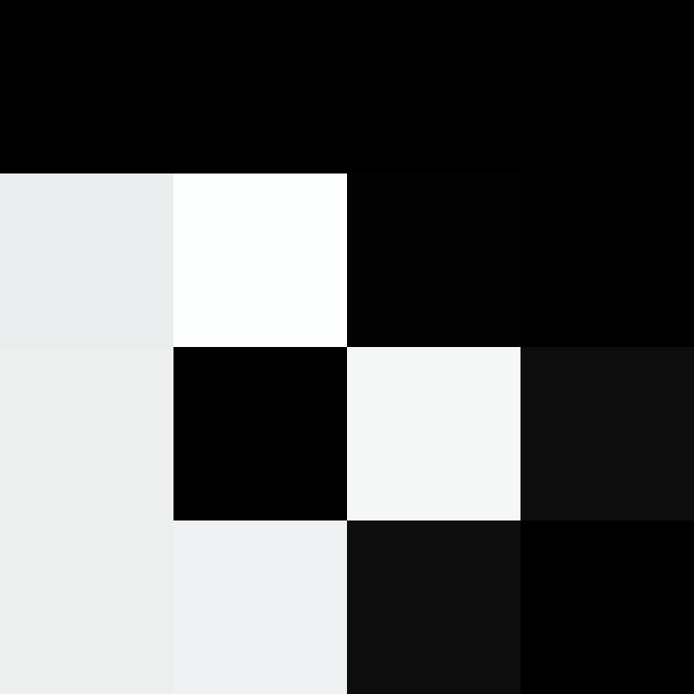 CeilingBird's skin