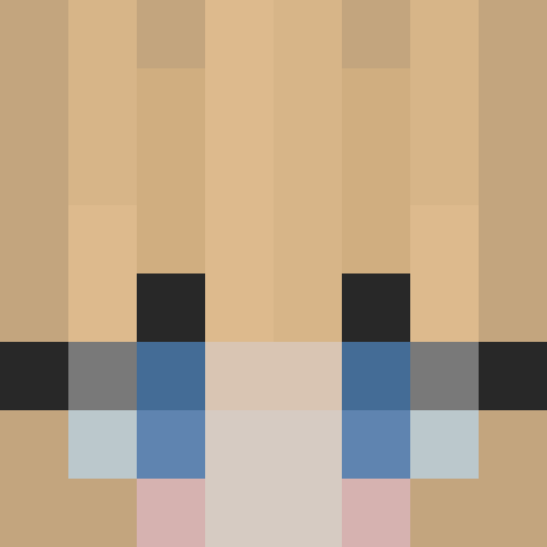 povNPC's skin