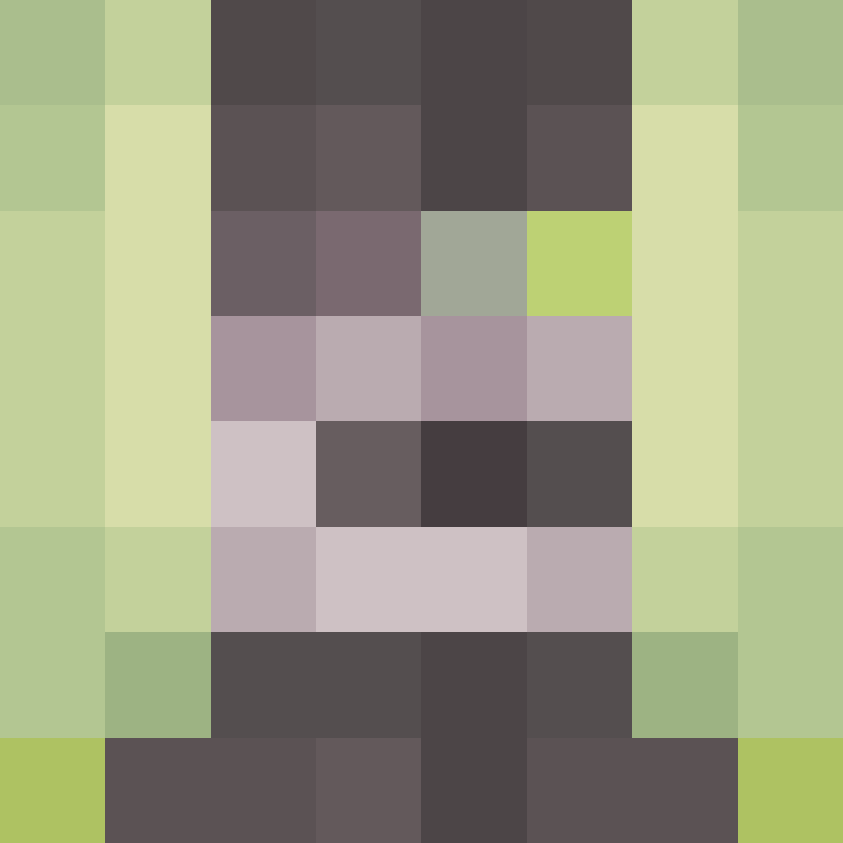 CeilingBird's skin