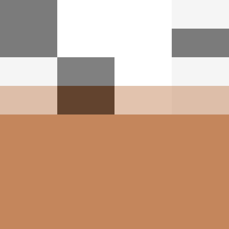 AutoSkin's skin