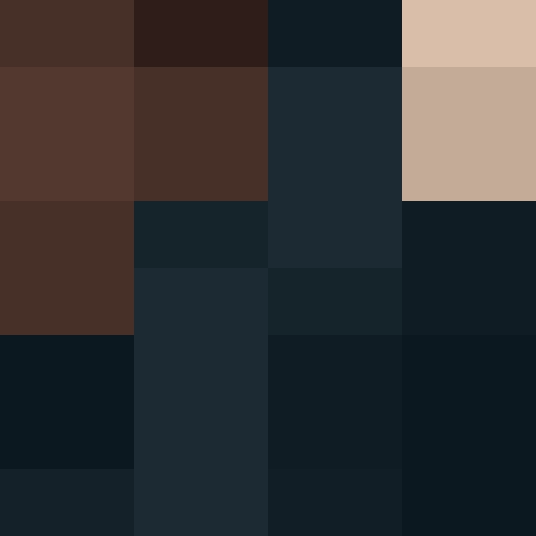 TheCuriousMiner's skin