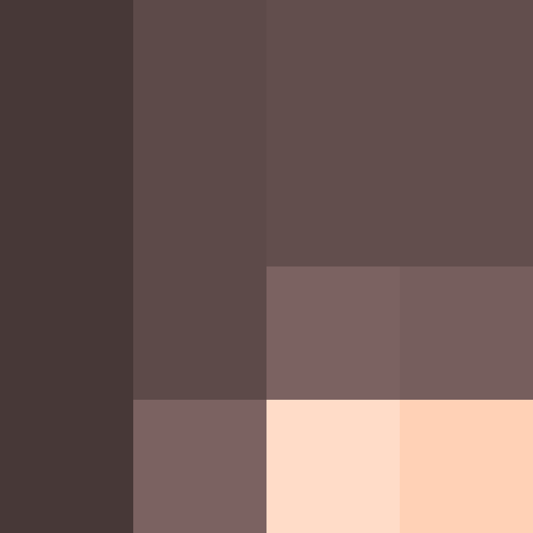 1etho's skin