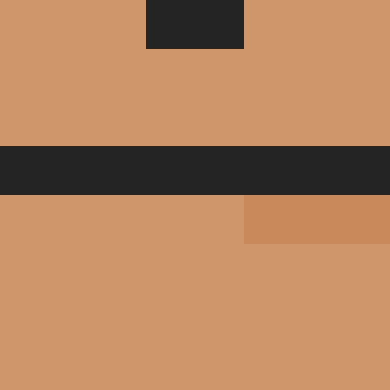 sureelmk_'s skin