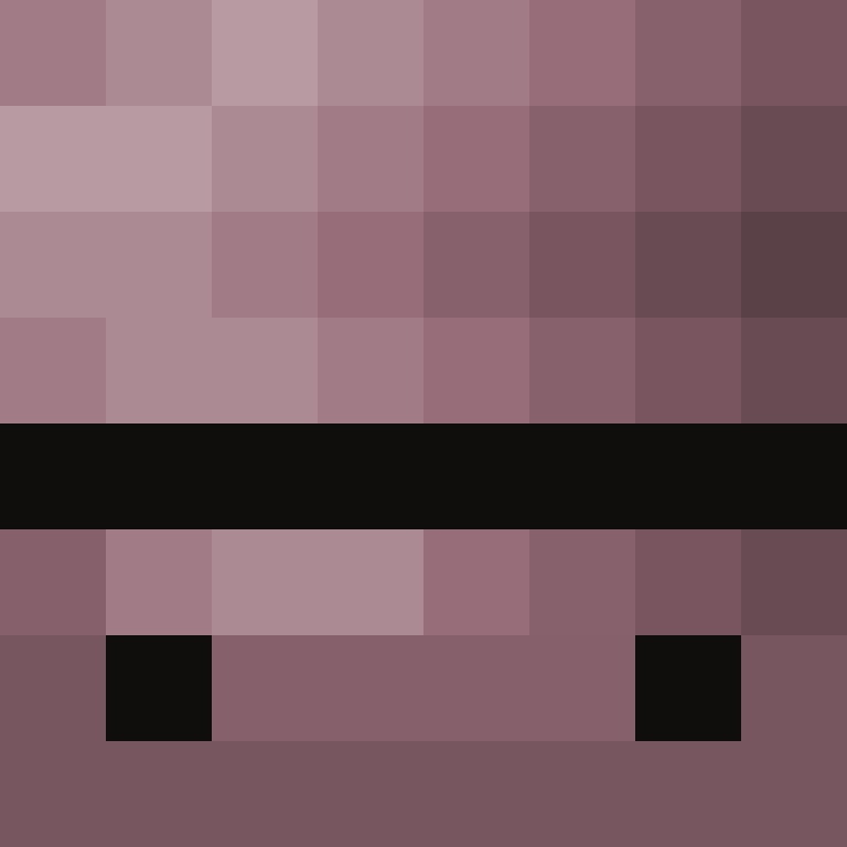 8aca680b22461340's skin