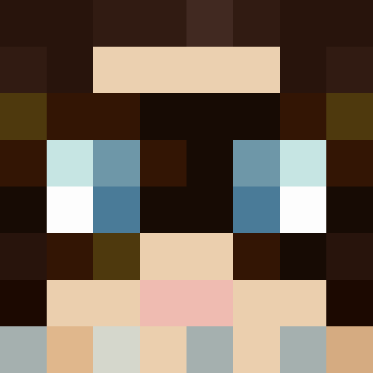 xX_No_Income_Xx's skin