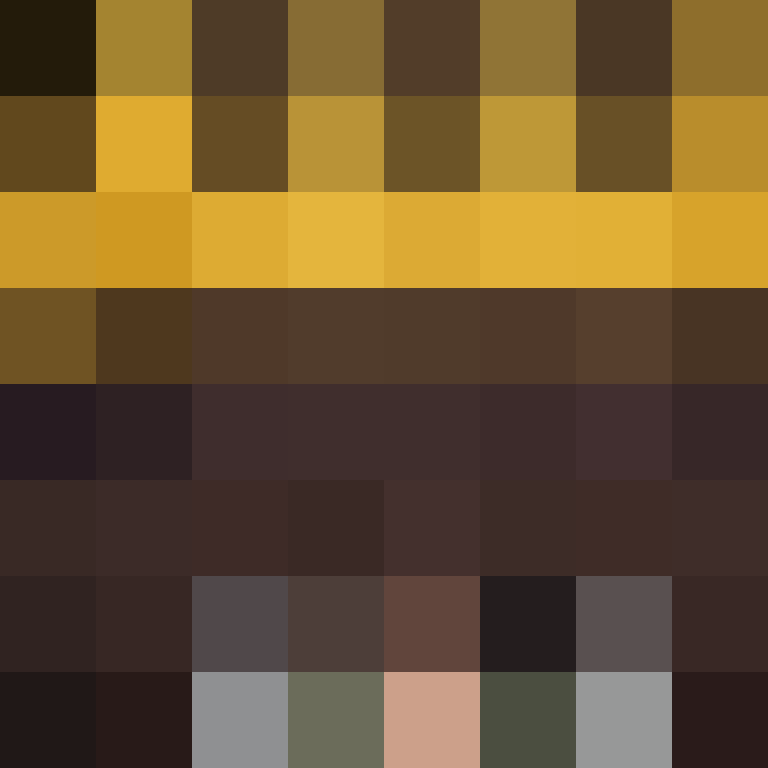 acin5's skin