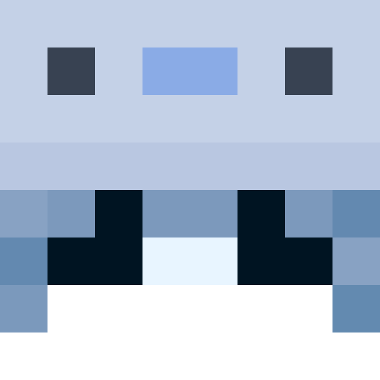 wiredframe's skin