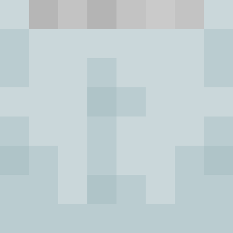 Bolshebricks's skin