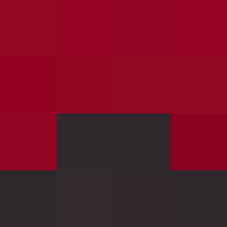 BukkitAPI's skin