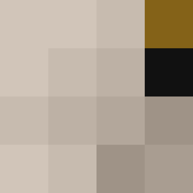 PtakopyskCZ's skin