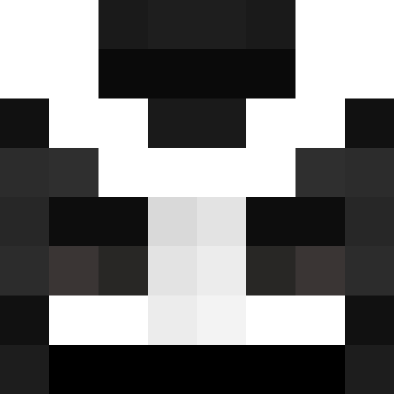 BukkitAPI's skin