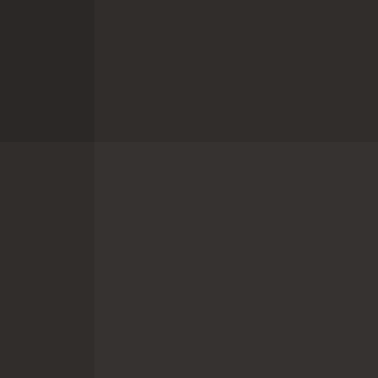 GeyserMC's skin
