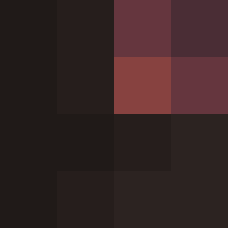 acin5's skin