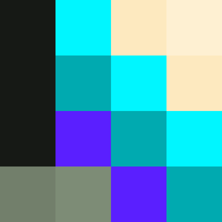 CeilingBird's skin