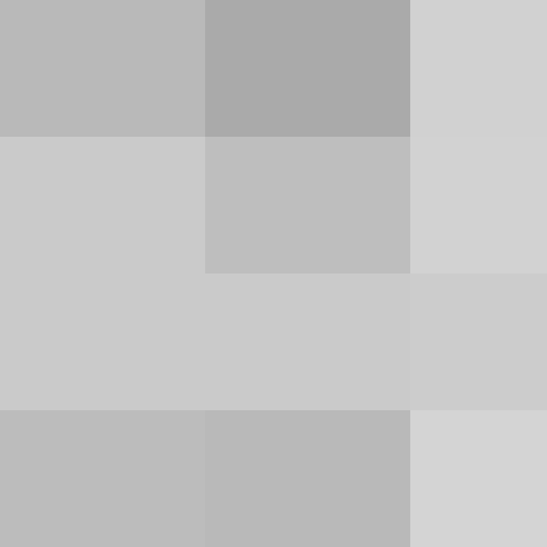 Zuarig's skin