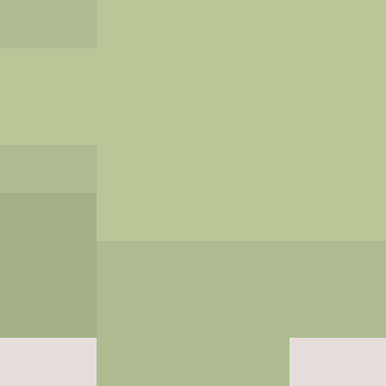 executory's skin