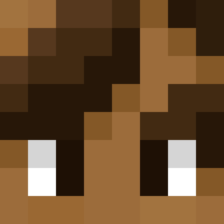 CeilingBird's skin