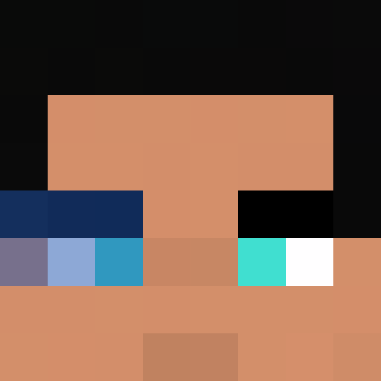 IAmSpadeFan's skin