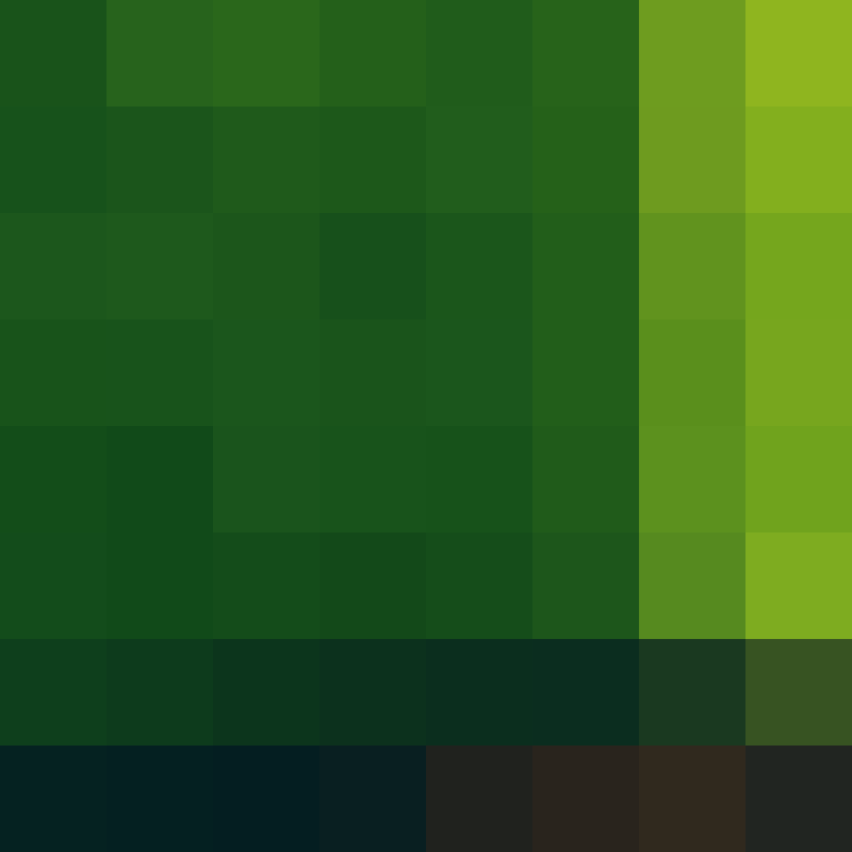 DargiV's skin