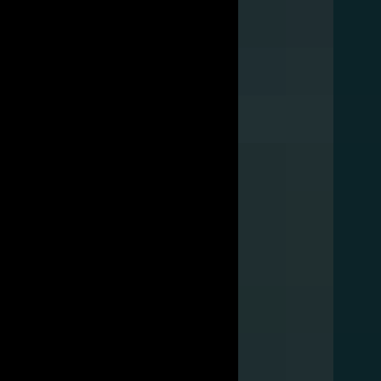 TheCuriousMiner's skin