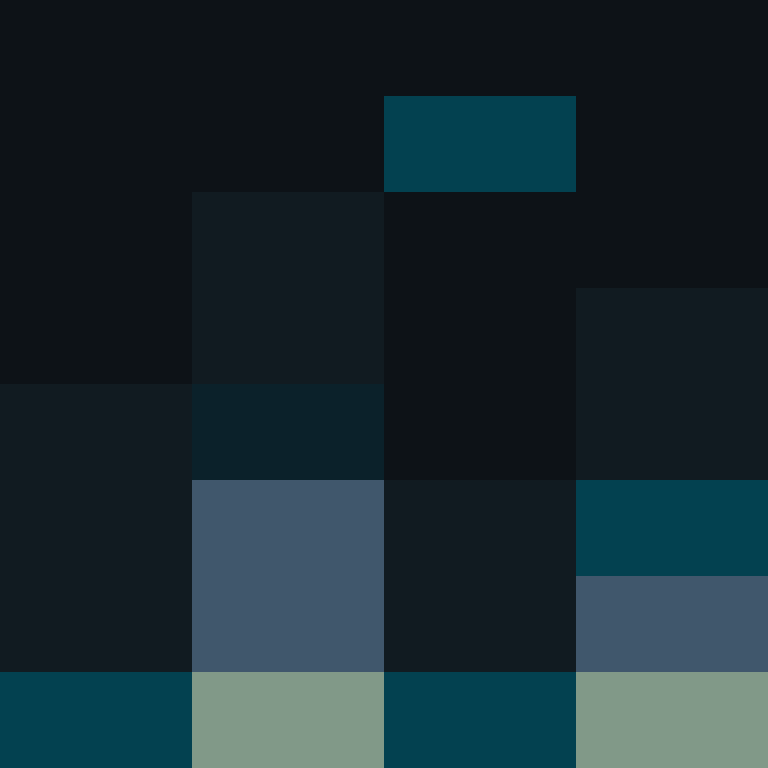 IAmSpadeFan's skin