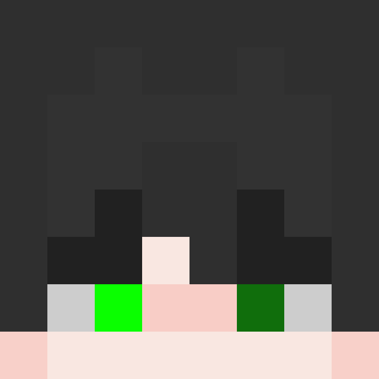 deminecrafterlol's skin