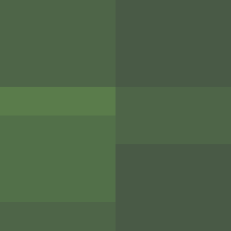 DargiV's skin