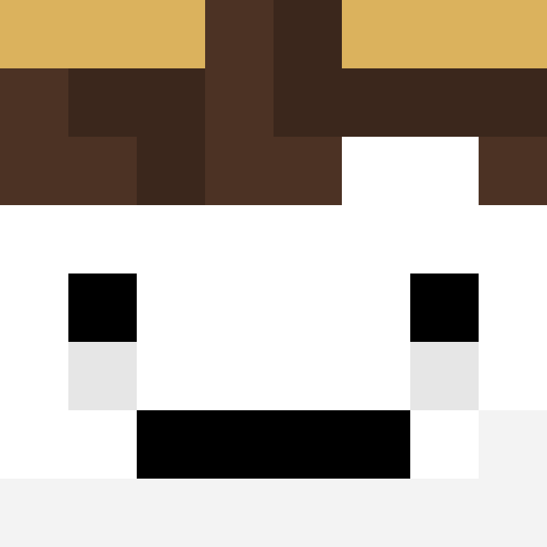 8aca680b22461340's skin