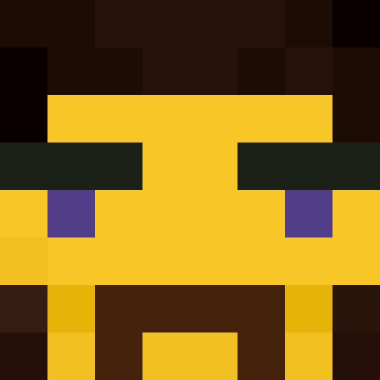 xX_No_Income_Xx's skin