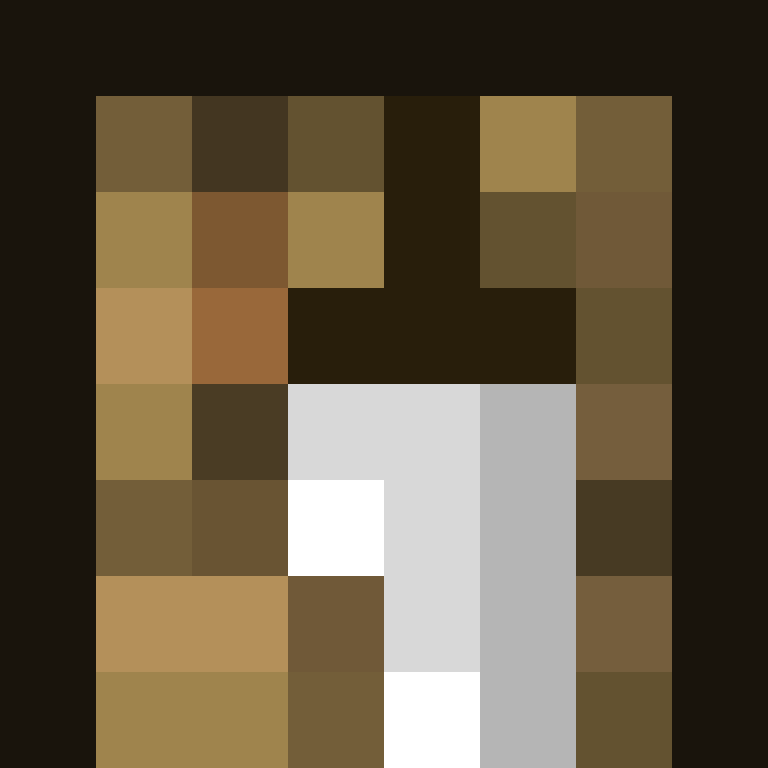 TheCuriousMiner's skin