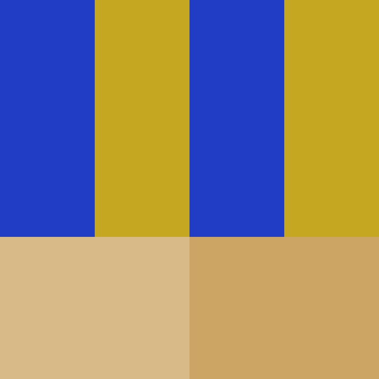 Cartizoll's skin