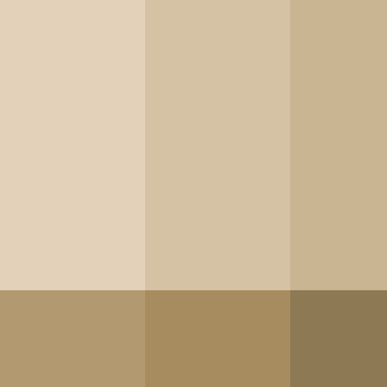 _pakman_'s skin