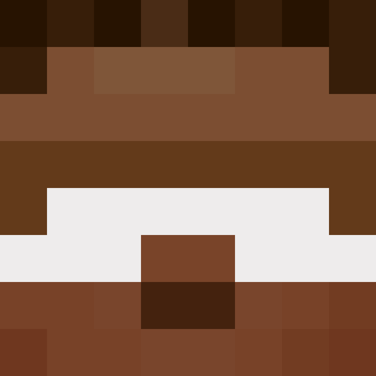 Mine_Skin's skin