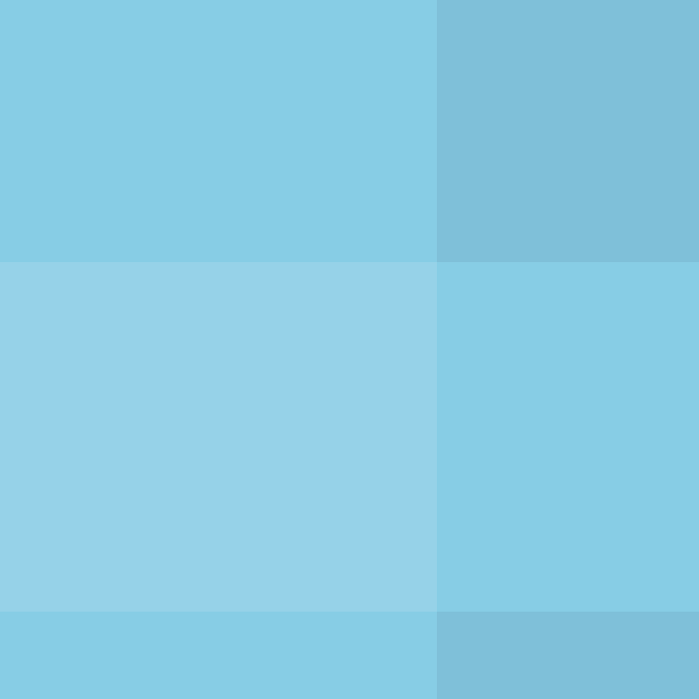 deminecrafterlol's skin