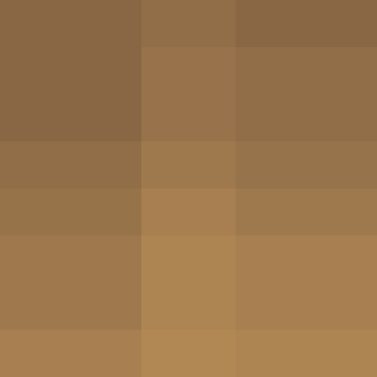 BukkitAPI's skin