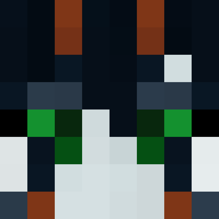 Taeikwondo's skin