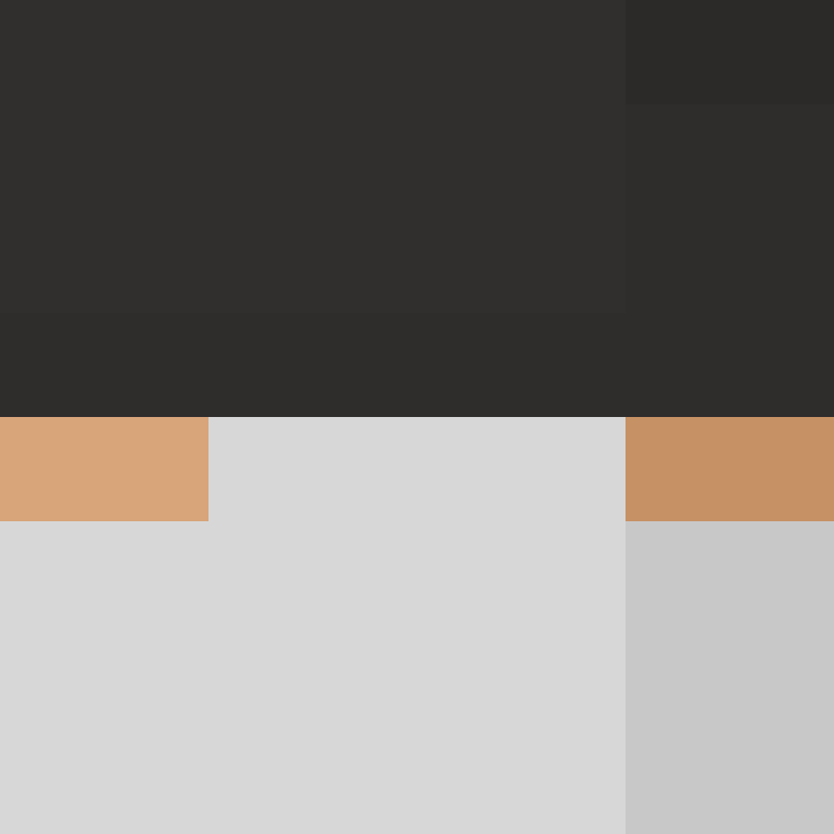 Bolshebricks's skin
