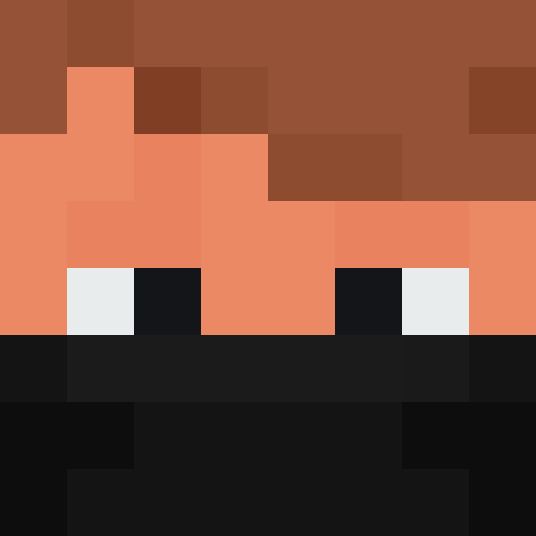 BukkitAPI's skin