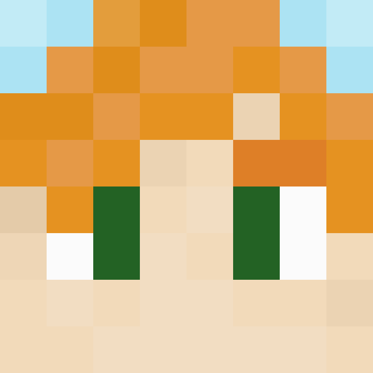 TheCuriousMiner's skin