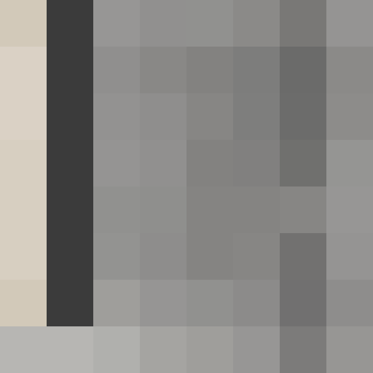Cartizoll's skin