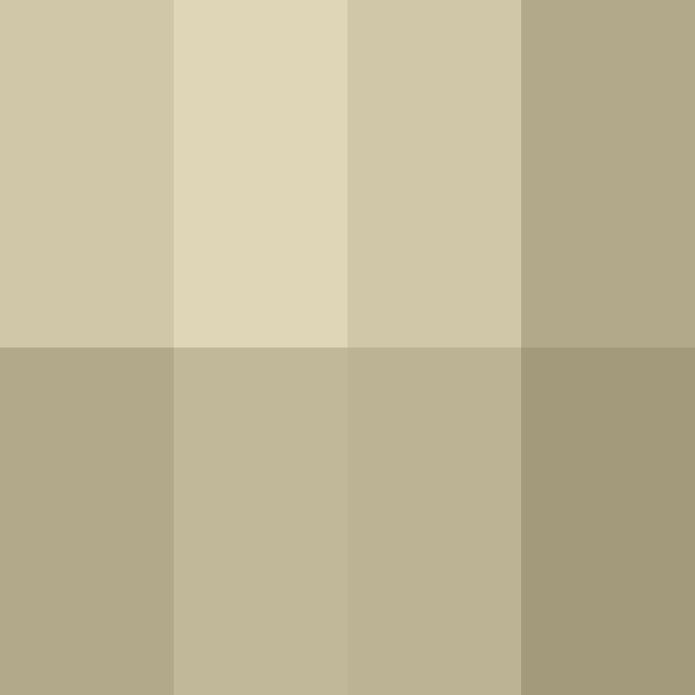 AutoSkin's skin