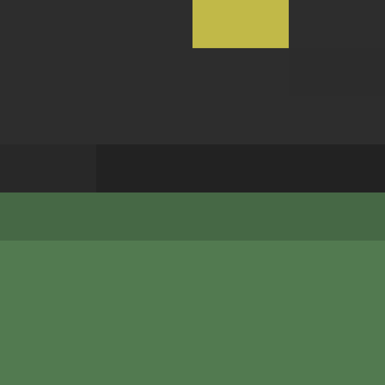 zervation's skin