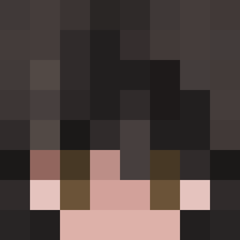 BukkitAPI's skin