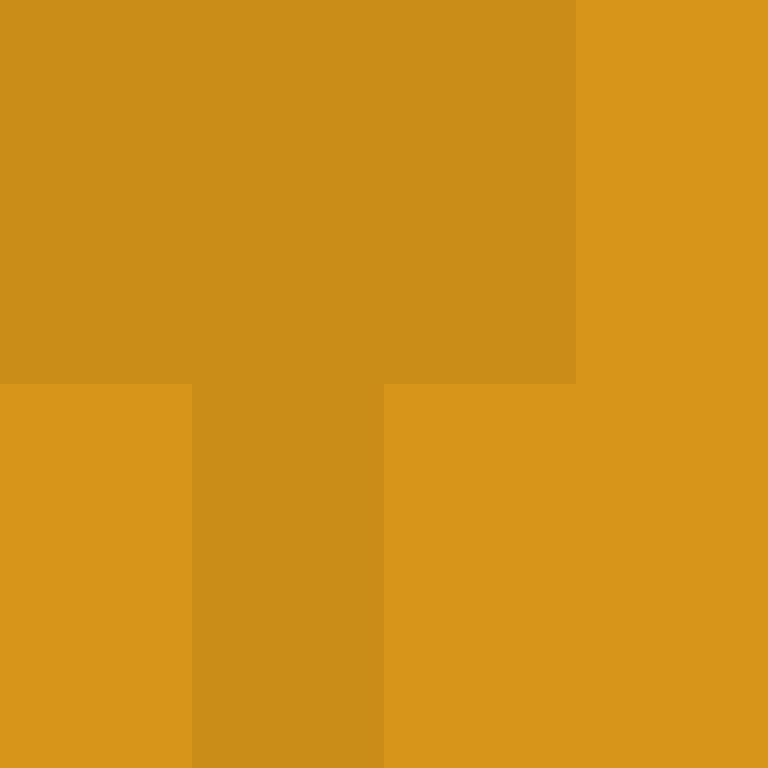 zervation's skin